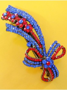 Fashion Hair Clip